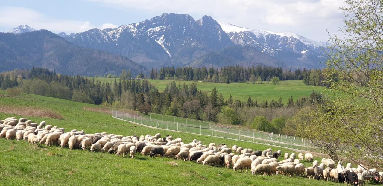 Apartament Na Brzyzku Zakopane Dış mekan fotoğraf