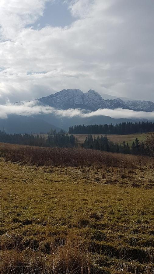 Apartament Na Brzyzku Zakopane Dış mekan fotoğraf