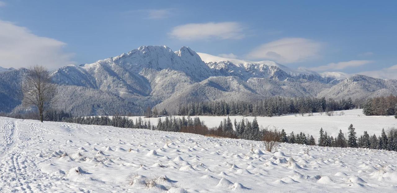 Apartament Na Brzyzku Zakopane Dış mekan fotoğraf